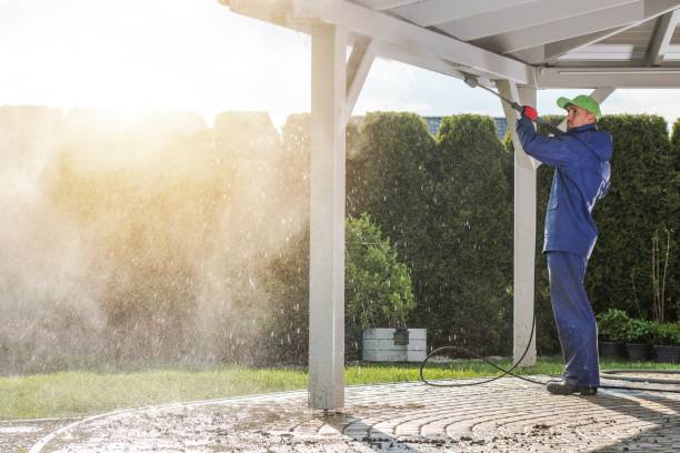 Best Boat and Dock Cleaning  in Shark River Hills, NJ